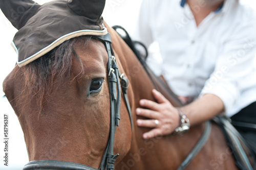 Fototapeta Naklejka Na Ścianę i Meble -  closeup of a horse head with detail on the eye and on rider hand