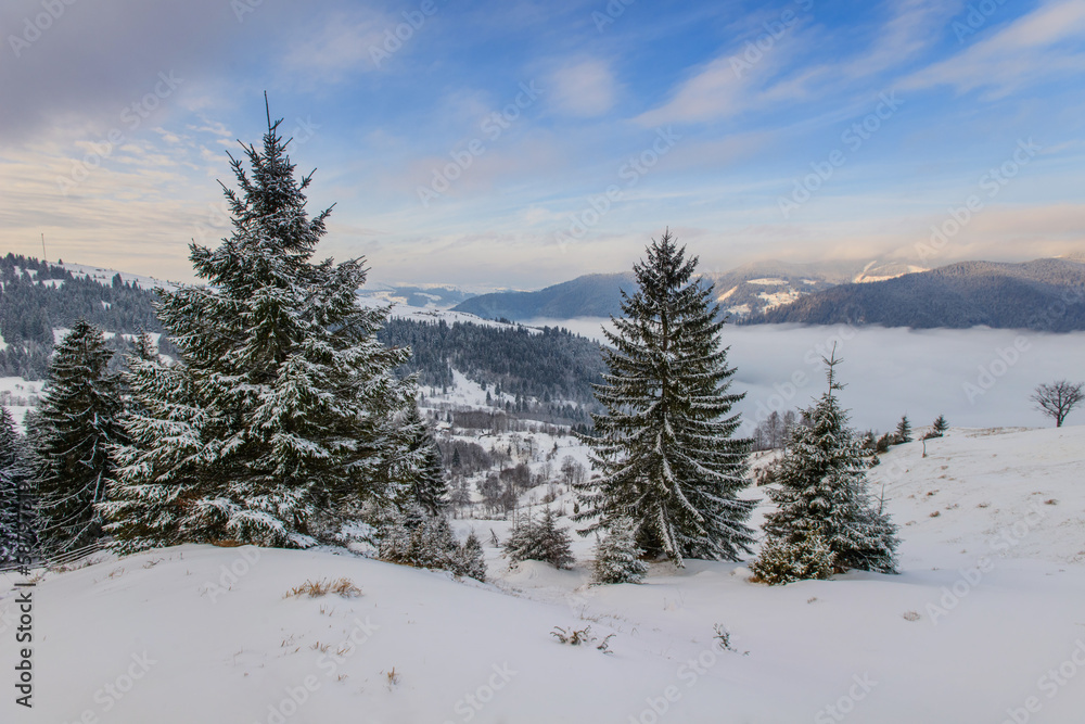 Fototapeta premium Carpathian winter mountains