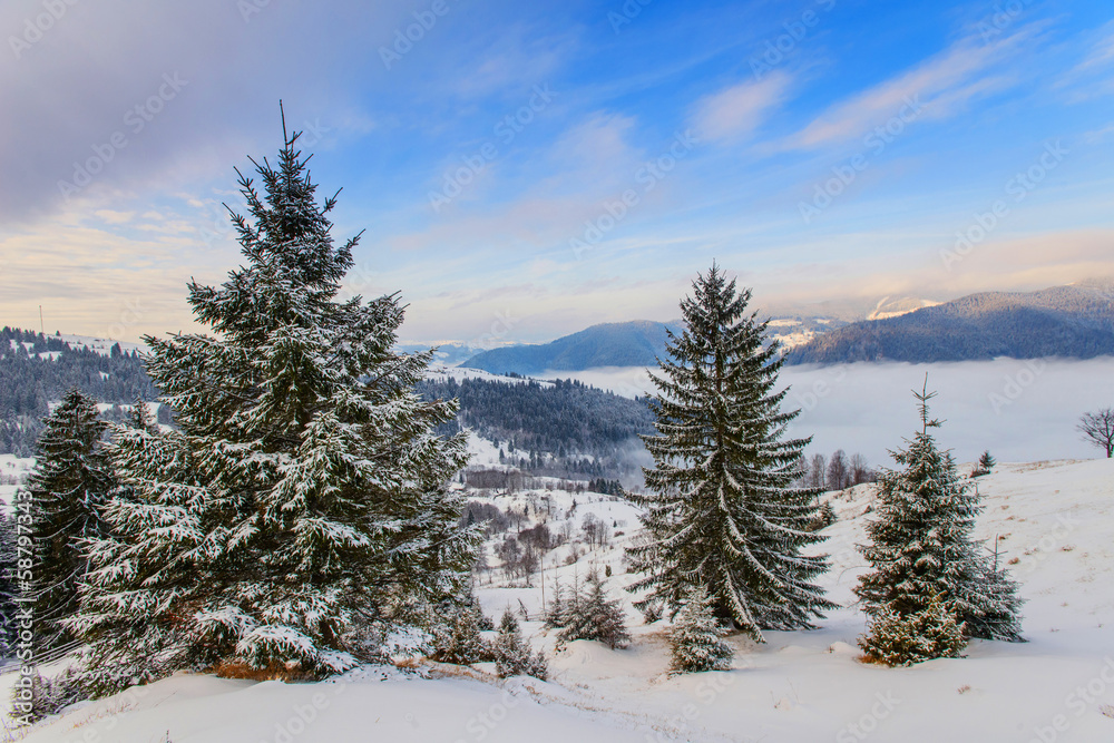 Carpathian winter mountains