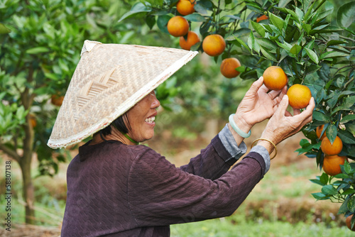 Photography chinese agricultural farm worker