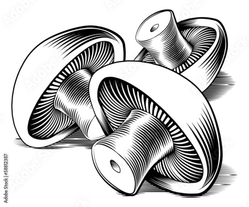 Vintage retro woodcut mushrooms