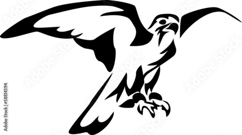 falcon