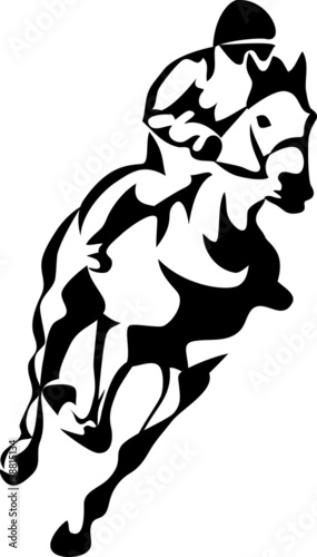 racing horse