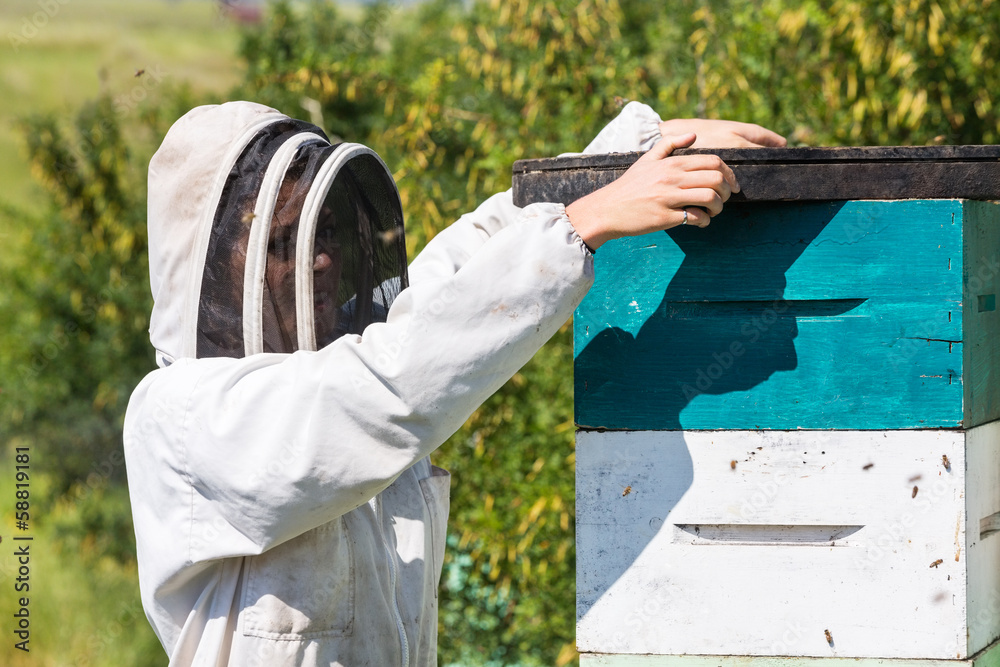 Beekeeper With Fume Board Beekeeper With Fume Board