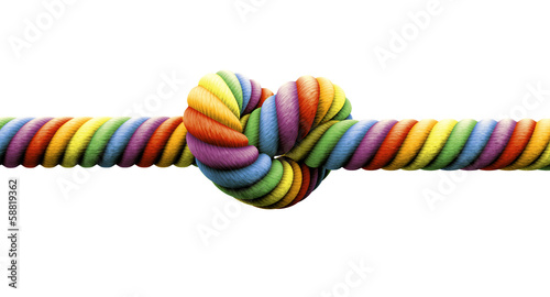 Tie The Knot Gay Marriage photo