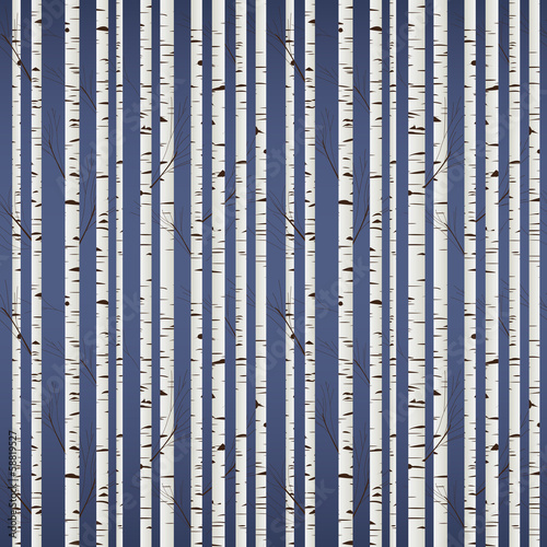 Birch wood pattern © Richard Laschon
