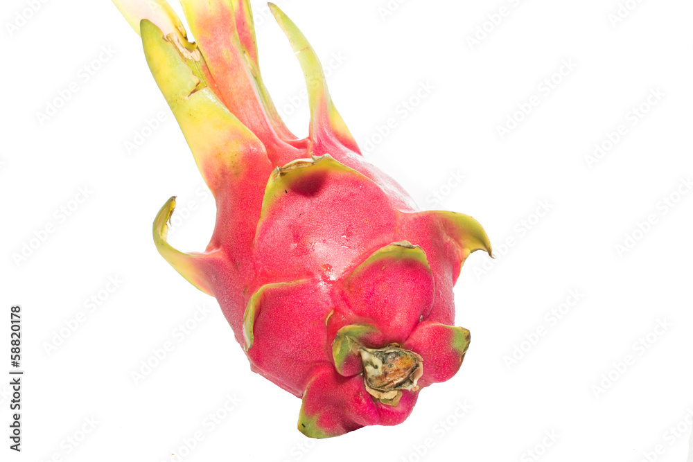 Close-up of dragon fruit isolated on white background Close-up of dragon fruit isolated on white background