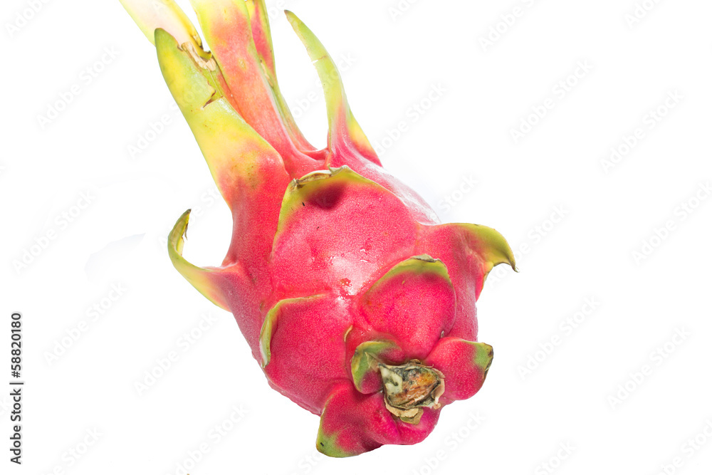 Close-up of dragon fruit isolated on white background