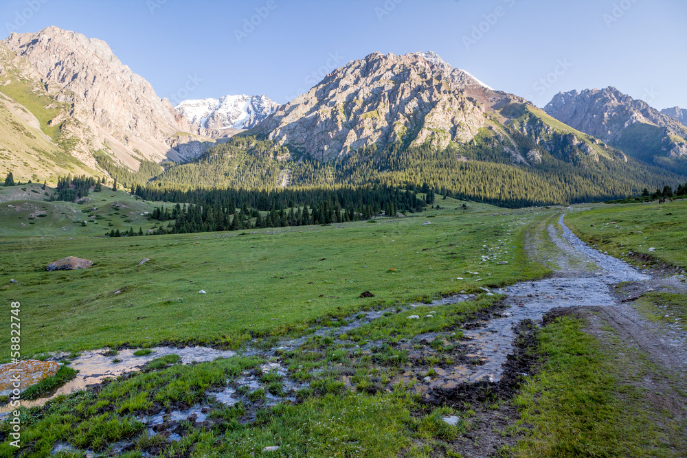 Brook flowing on mountain road