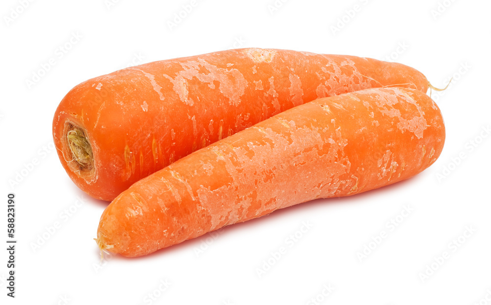 Carrot Carrot