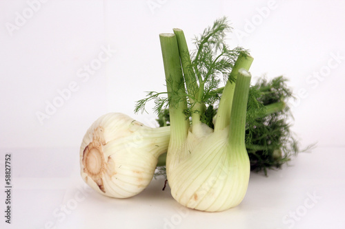 fenchel