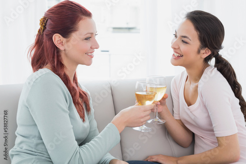 Happy female friends toasting wine glasses at home