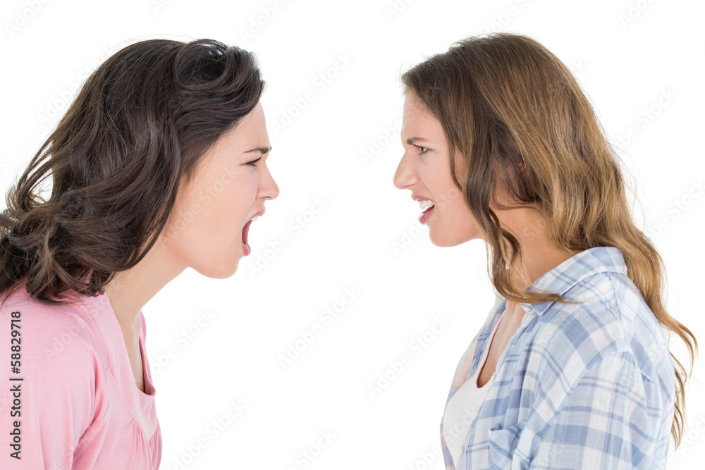 Angry young female friends having an argument Angry young female friends having an argument