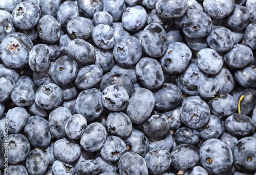 blueberry background