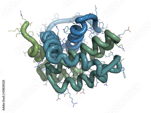 BCL-2 protein. Prevents apoptosis (cell death) photo