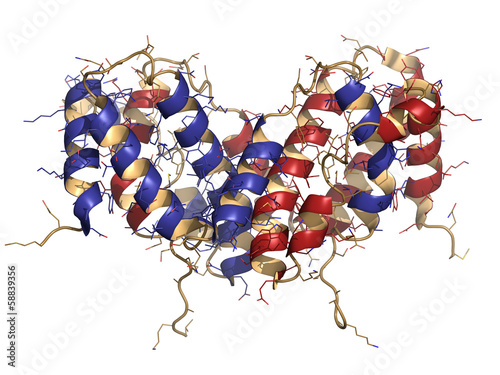 Interferon gamma (IFNg) cytokine molecule, chemical structure photo