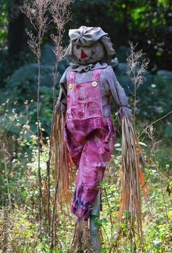 Straw man in the garden photo