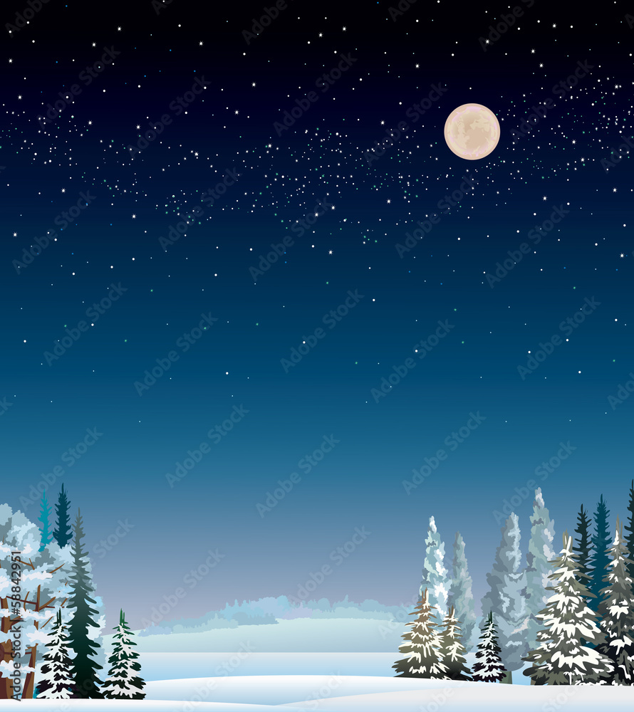 Fototapeta premium Winter landscape.