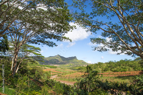 Landscape Chamarel Mauritius Black River District