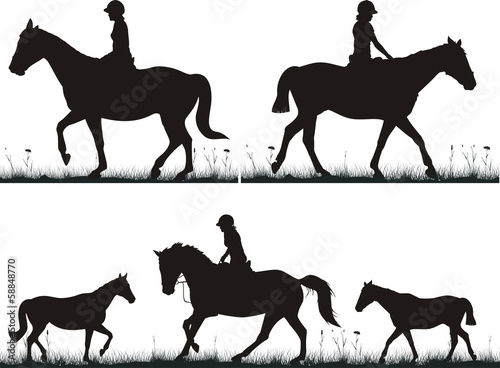 dressage on the grass - girl on horse