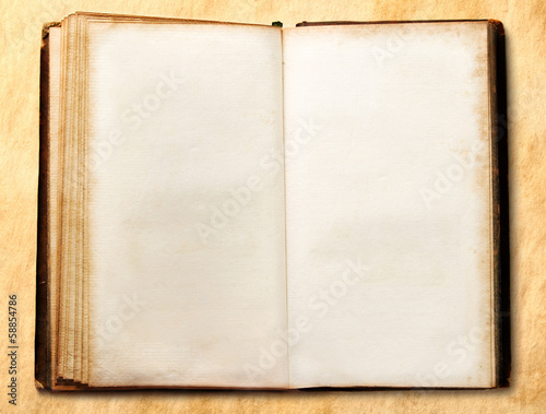 Old open blank book