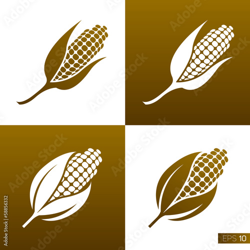 Wheat and rye. Elements for design. Icon set.