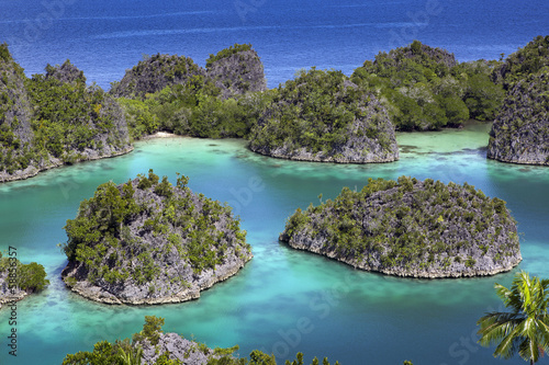 Fototapeta Naklejka Na Ścianę i Meble -  Exotic tropical islands Raja Ampat archipelago, West Papua