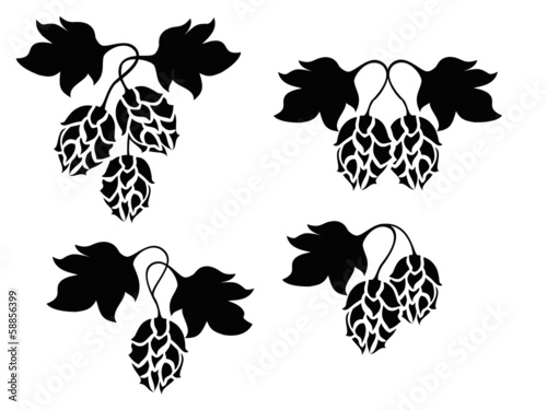 Hops vector design
