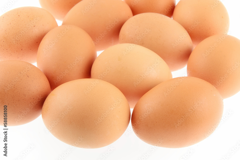 uova di gallina isolate su sfondo bianco uova di gallina isolate su sfondo bianco
