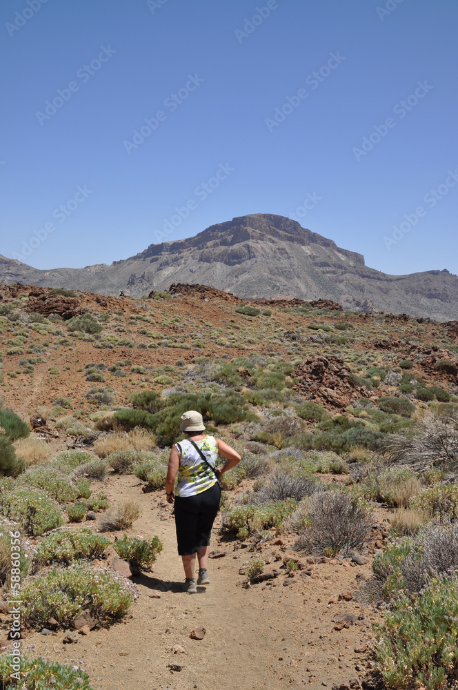 Fototapeta premium Wandern im Teide-Nationalpark, Teneriffa