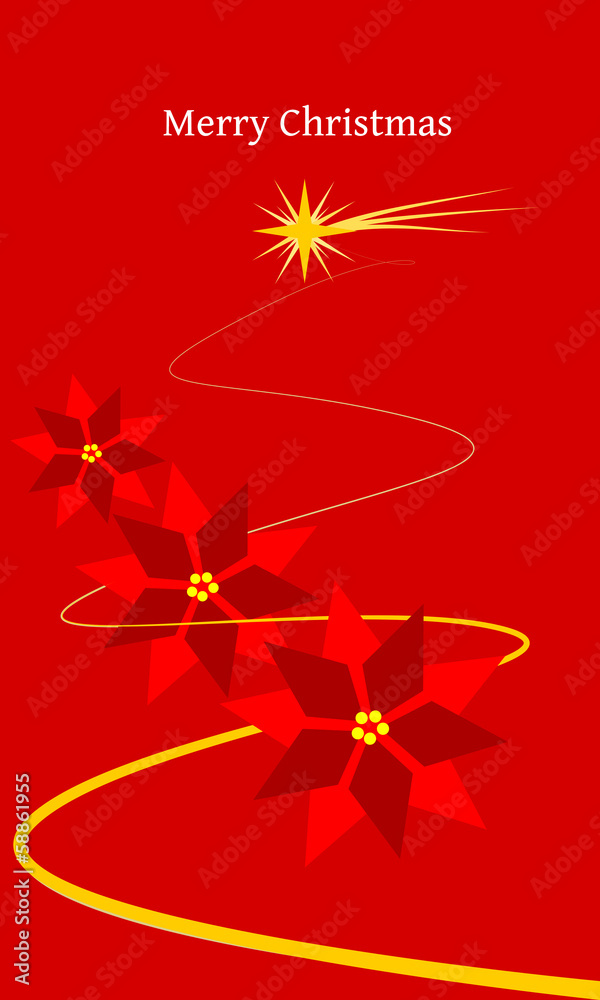 stelle di natale stelle di natale