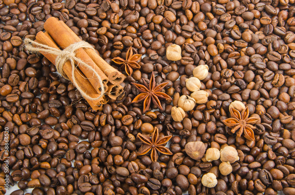 Fototapeta premium coffee beans with spice