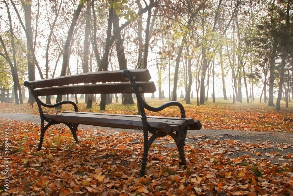 Lonely benck in autumn park