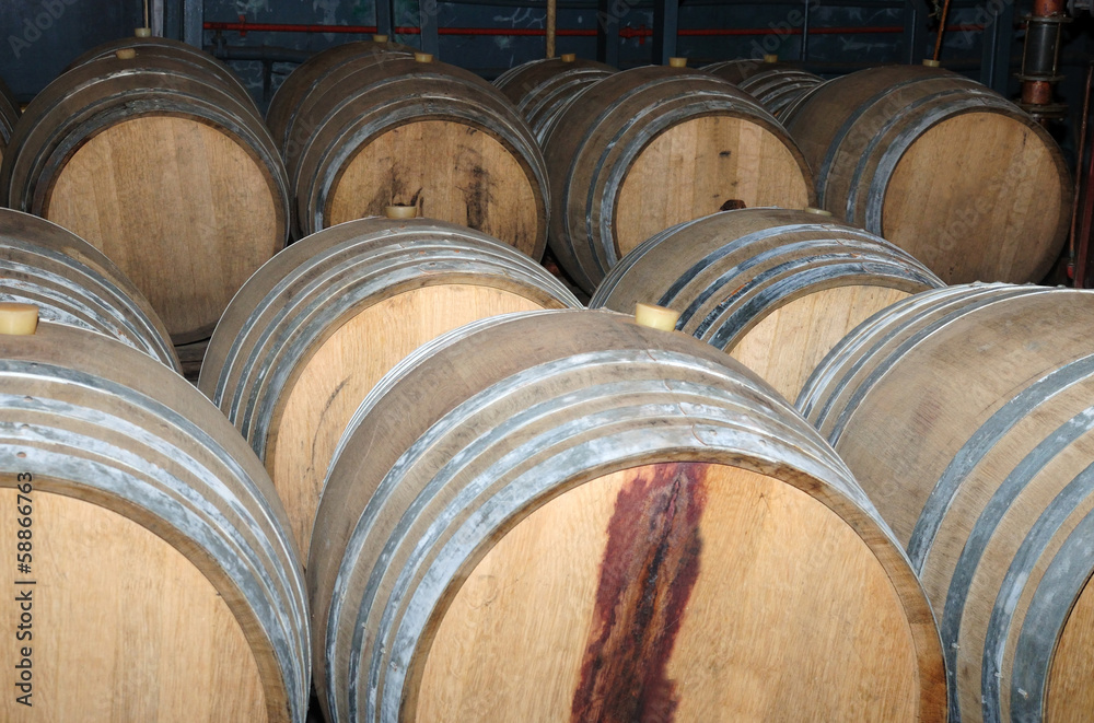 Wine barrels in arrangement waiting in a cellar