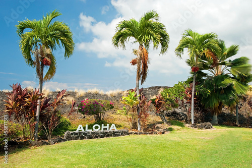 Aloha sign with palm trees on Big Island Hawaii