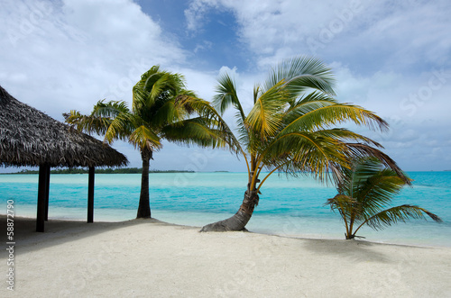 Beach bungalow on tropical pacific ocean Island