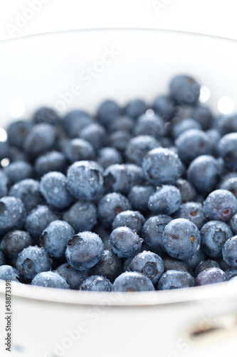 Wallpaper Mural Blueberries in siev Torontodigital.ca