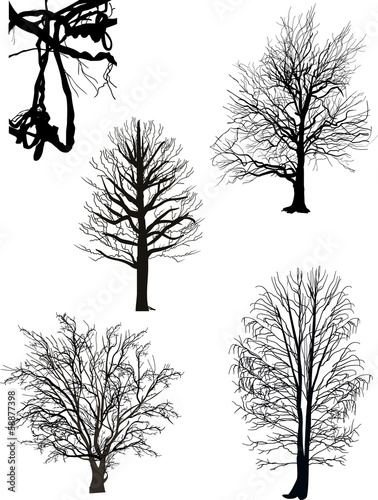 bare trees silhouette collection isolated on white