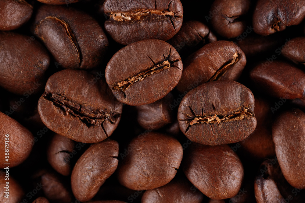 Naklejka premium Coffee beans background