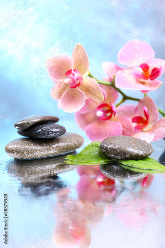 Fototapeta Naklejka Na Ścianę i Meble -  Composition with beautiful blooming orchid with water drops and