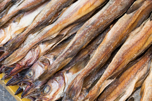 Dry salty fish close up