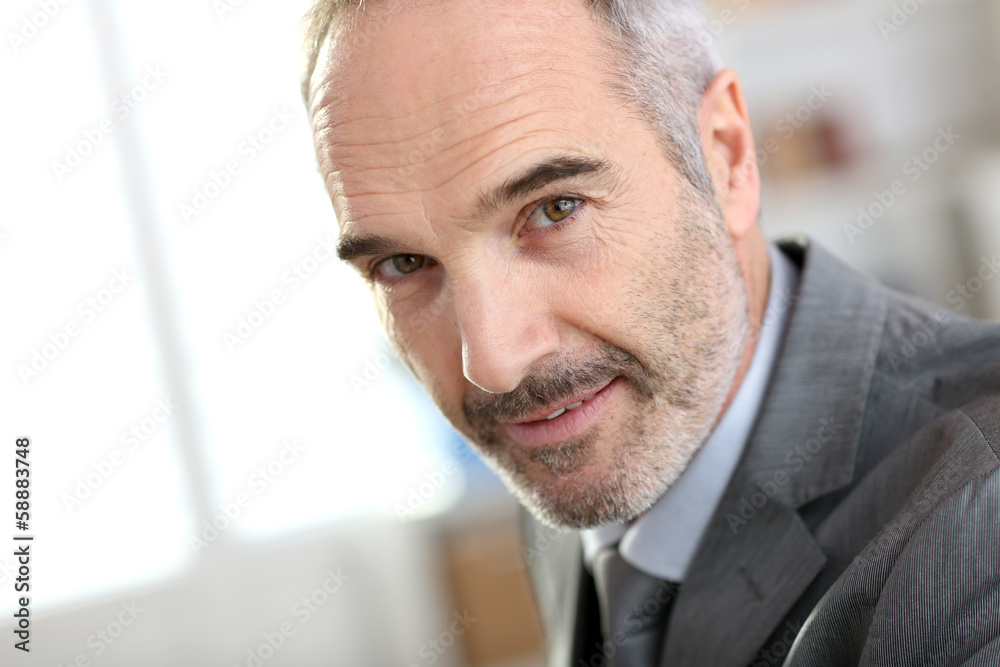 Portrait of mature businessman in office Portrait of mature businessman in office