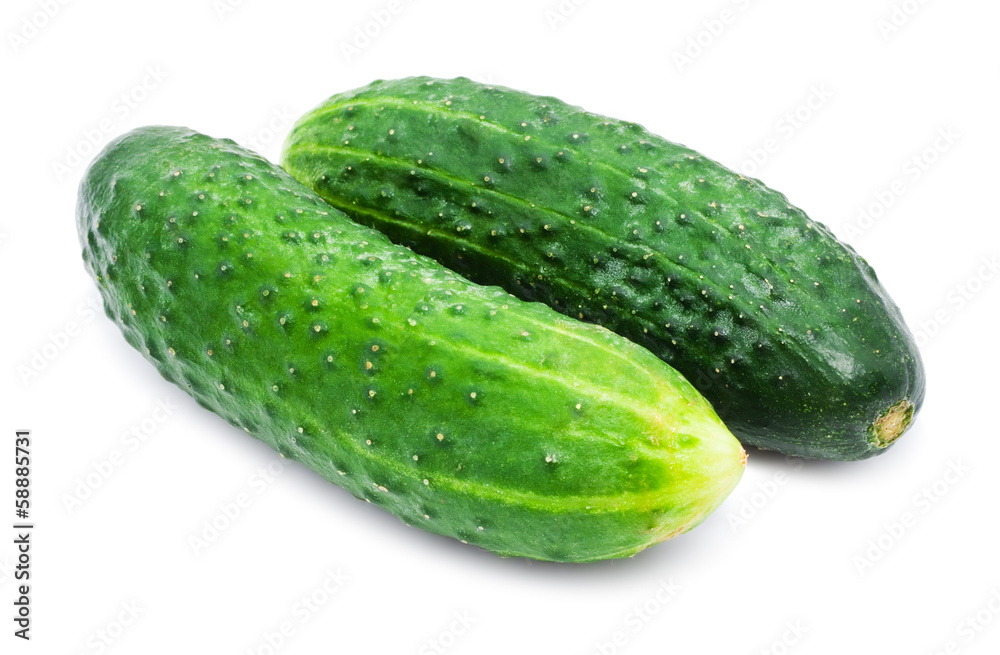 Fresh cucumber Fresh cucumber