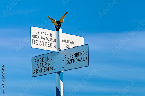 Direction sign on top of the famous Dutch Posbank photo