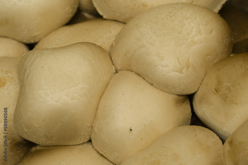 Edible white mushrooms Edible white mushrooms