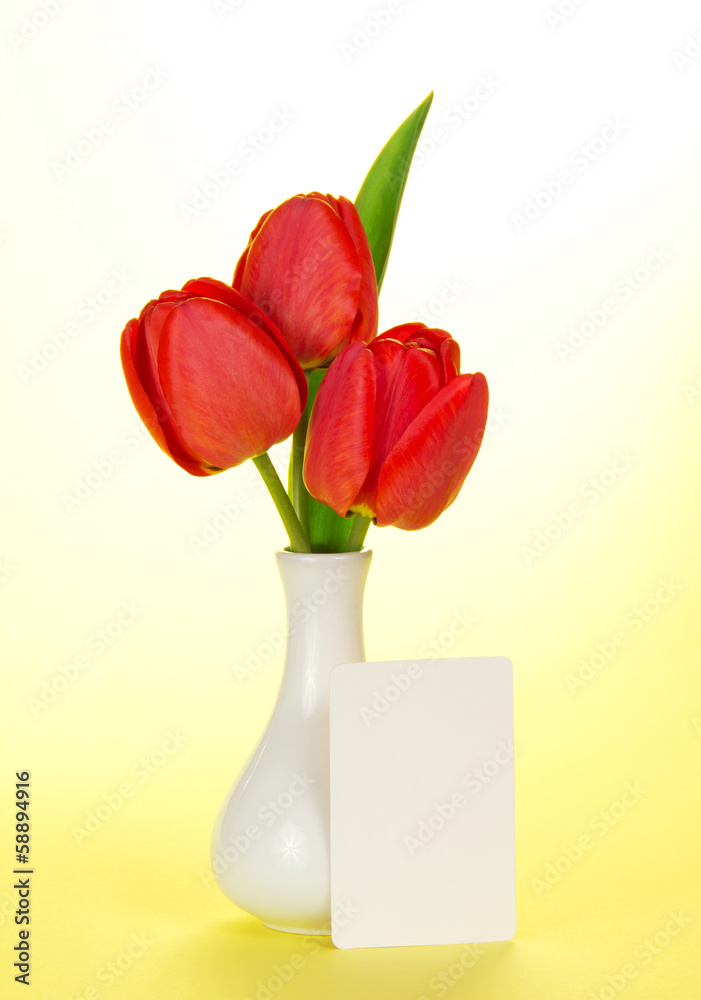 Fine tulips in a vase and the empty card Fine tulips in a vase and the empty card