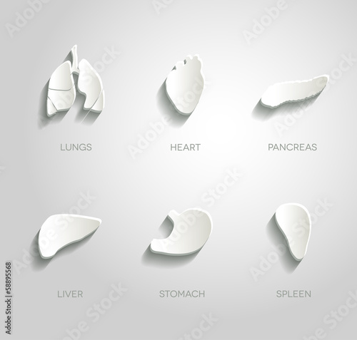 Human organs illustrations set, abstract paper design.