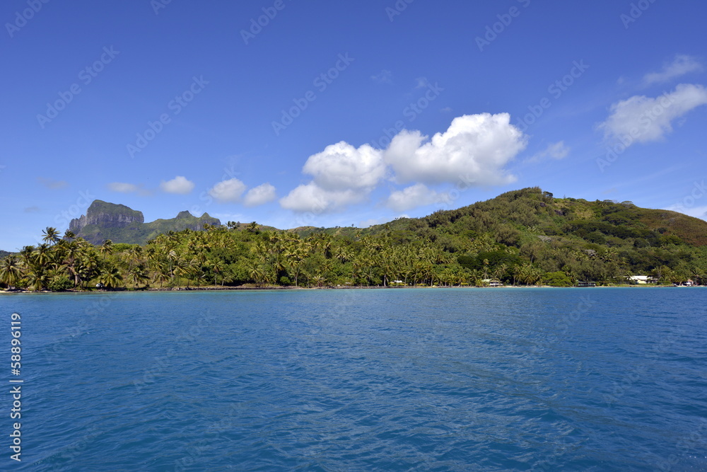 Tropical mountain beauty