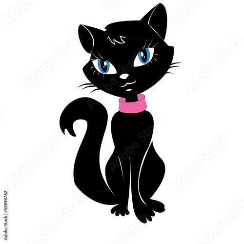 black Cat