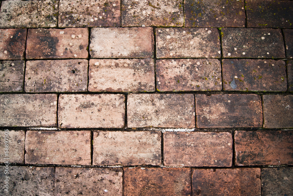 Obraz premium Paving Brick